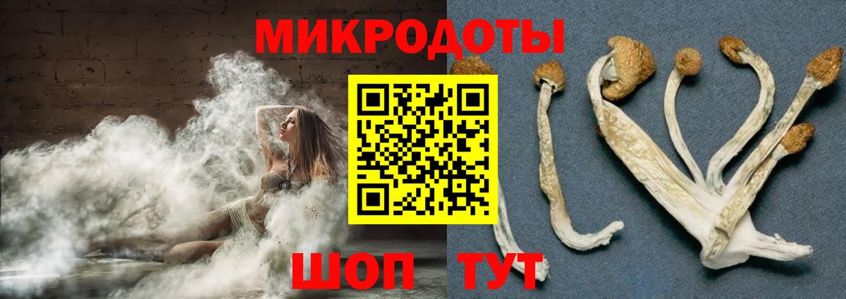 Галлюциногенные грибы MAGIC MUSHROOMS  Вход с VPN  Галлюциногенные грибы мицелий  Медногорск 