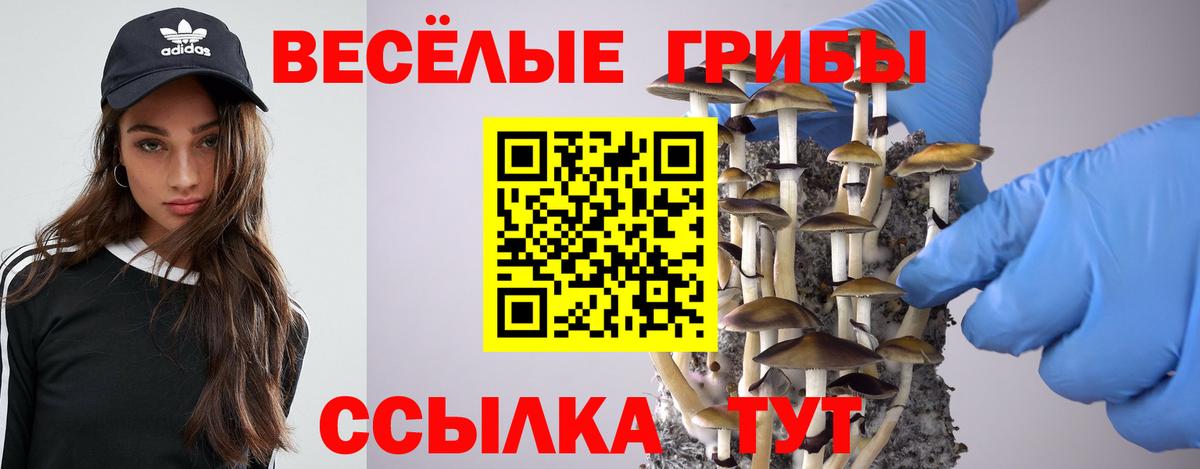 Псилоцибиновые грибы Psilocybine cubensis Медногорск